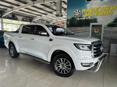 2021 Gwm P Series