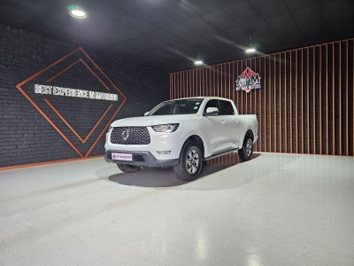 2022 Gwm P-series 2.0 Dlx